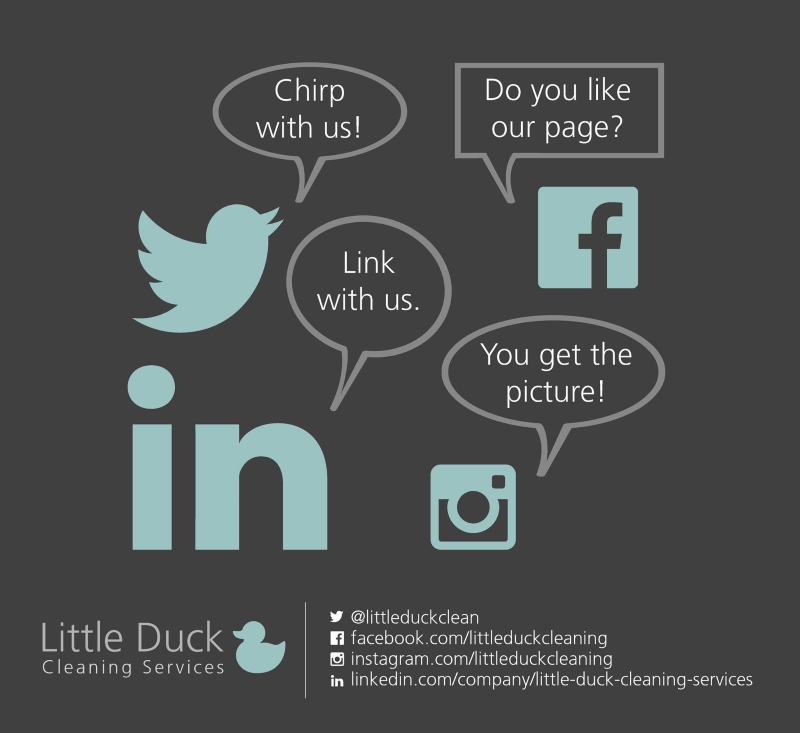 Contact Little Duck for Upholstery Cleaning Services wherever you are in Carlisle, Cumbria or the Borders