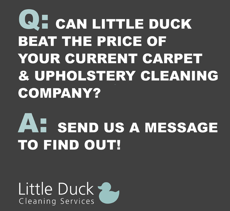 Contact Little Duck Cleaning Services in Carlisle to get a pleasant surprise about carpet cleaning costs.